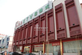 北京夏威夷北岸 城市绿洲中的惬意生活与奶茶醇香